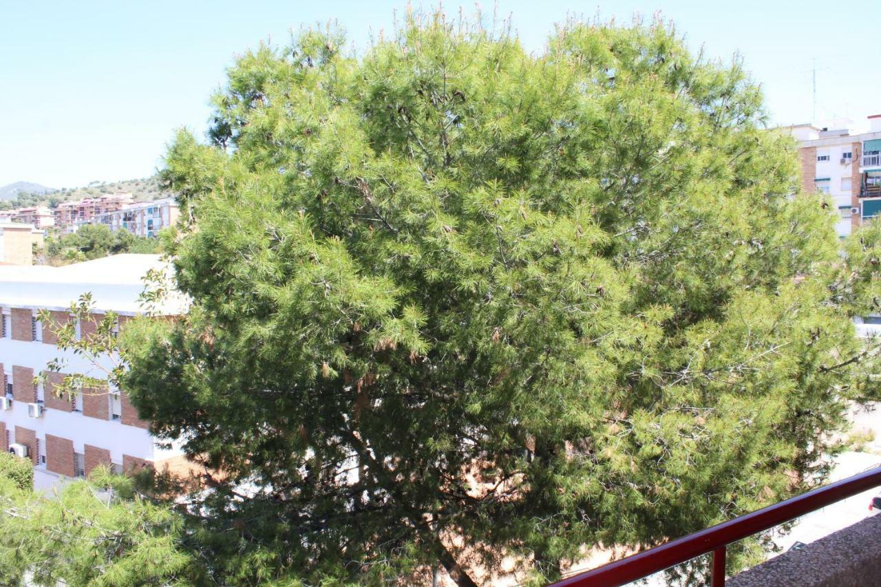 Apartamento Con Parking Gratuito Málaga Eksteriør billede